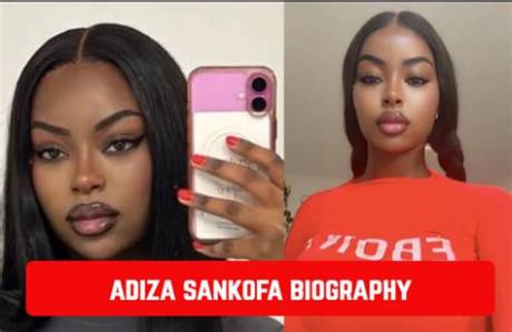 Adiza Sankofa Search Frenzy: a Complete Breakdown of How the Drama Unfolded