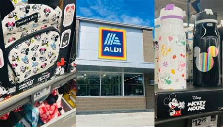 Aldi Sells out $8 Disney Water Bottles That Rival $40 Park Souvenirs