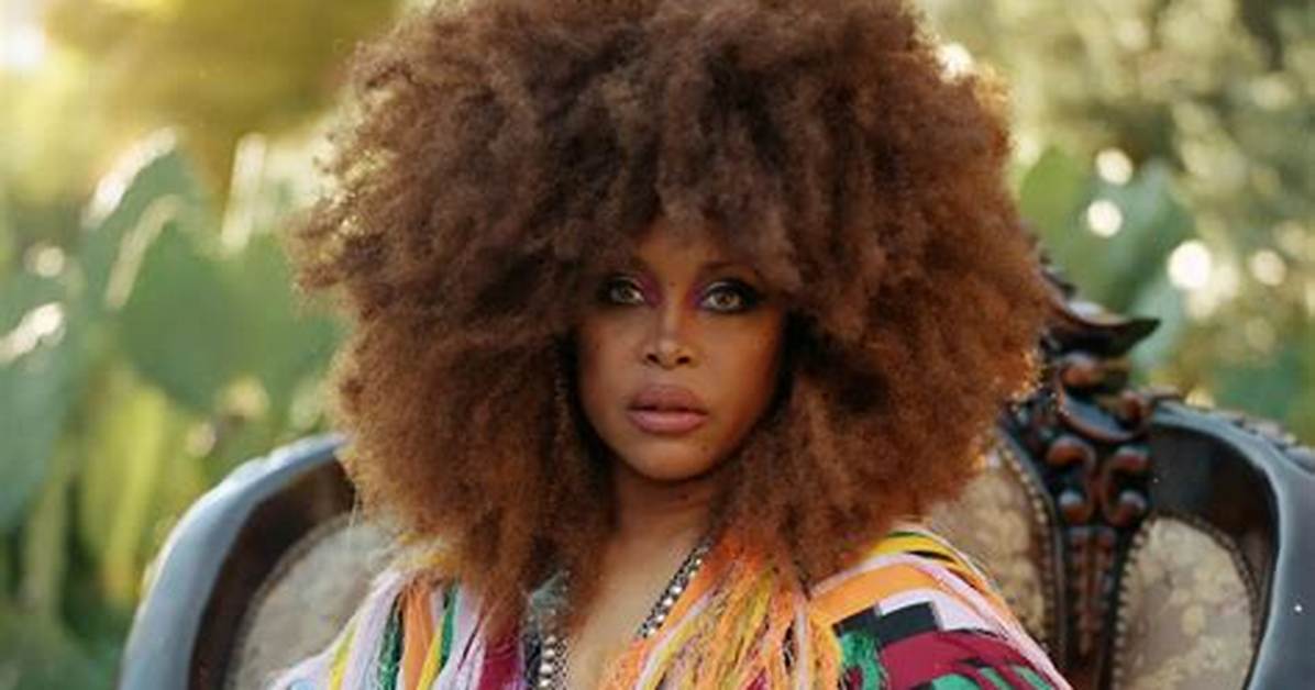 All About Erykah Badu's Family: Unveiling the Number of Her Children