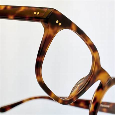 Bailey Nelson Spectacles Durability Breakdown: Frame Tests and Everyday Wear