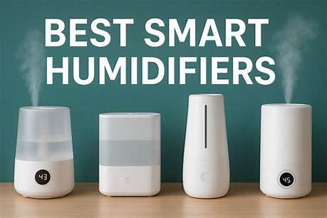 Best Humidifier from Walgreens (2026 Buying Guide): Vicks, Pure, or Store Brand?