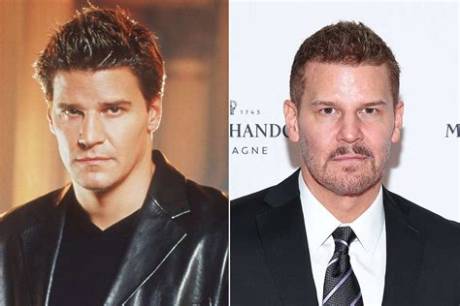 Booth Vs. Sully: Did David Boreanaz and Eddie Mcclintock Clash Behind the Scenes?