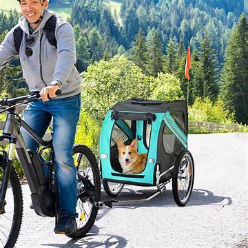 Can Any Bike Pull a Dog Trailer? Hitch Compatibility Fact-Check