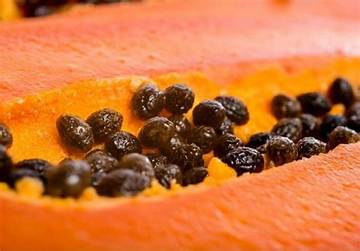 Can You Actually Eat Papaya Seeds? the Truth Behind Digestive Myths and Gut Health Claims