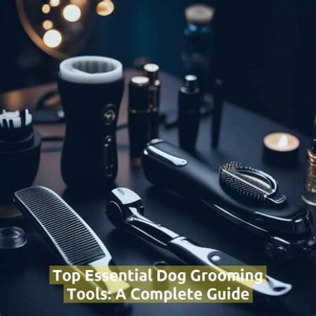 Complete Dachshund Shedding Guide: Essential Tools, Grooming Tips, and Faq