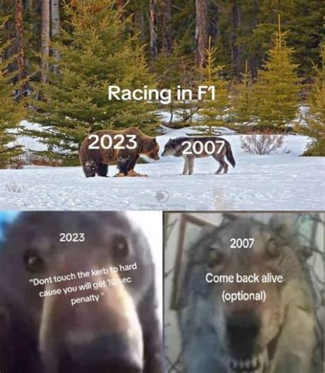Every Viral 'The Bear' Meme Explained: Origins, Screenshots, and Actor Reactions