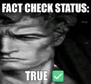 Fact Check: the Truth Behind Tiktok Meme Photos and the Platform's Scrapped Ai Remix Feature