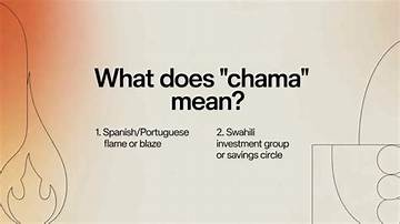 Fact-Checking 'Chama': Translation, Brazilian Slang, and the Fighter's Trademark