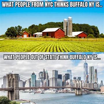 Fact-Checking New York Memes: Sifting Reality from Digital Hype and Financial Traps