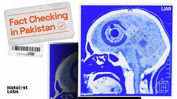 Fact-Checking the Claims: Inside the Anatomy of an Internet Search Hoax