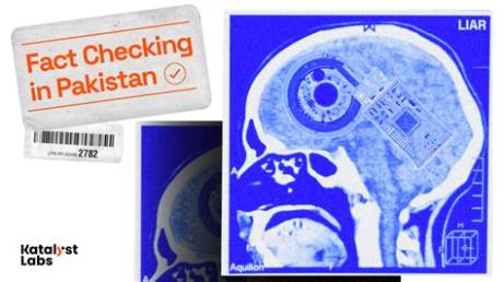 Fact-Checking the Claims: Inside the Anatomy of an Internet Search Hoax