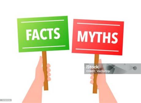 Fact-Checking the 'Lita Children' Rumors: Separating Fiction from Reality