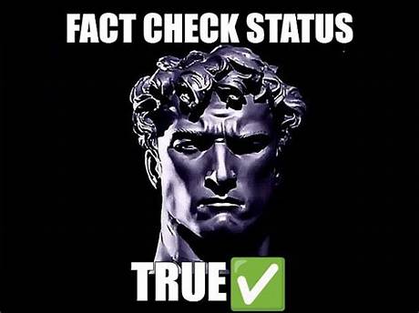Fact-Checking the Meme: Culture, Caricature, or Harmless Comedy?
