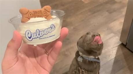 Fast Food Chains Expand Dog Treat Menus in 2026: Where Does Mcdonald's Stand?