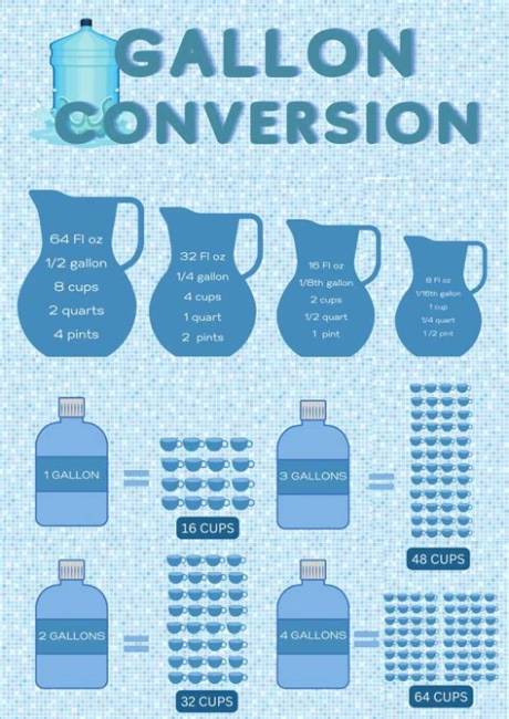 Gallon Pitcher Breakdown: Visual Measurement Chart for Standard Vs. Family-Sized Bags