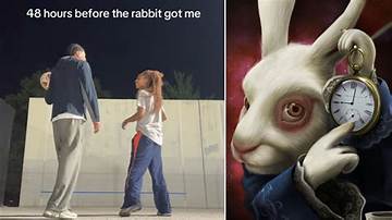 How 'The Rabbit Got Me' Took over Social Media: from Niche Tiktoks to Global Movement