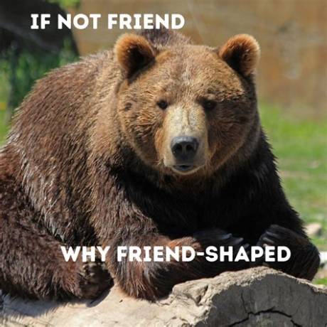 'If Not Friend, Why Friend Shaped?' the Science Behind Cute Meme Formats