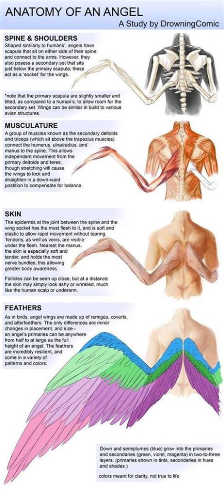 Inside the Death Angels' Anatomy: Visual Breakdown of the Quiet Place Monsters
