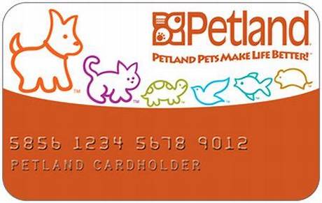 Is the Petland Credit Card Predatory? Fact-Checking in-Store Financing Claims