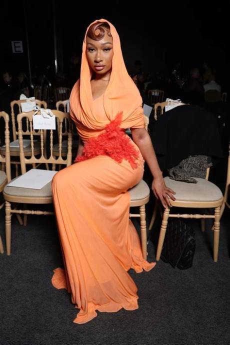 Megan Thee Stallion Pregnant? Everything Fans Need to Know About the Latest Viral Craze
