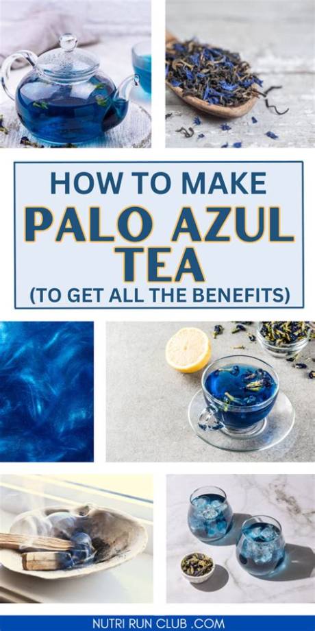 Palo Azul Tea Complete Guide: Proven Benefits, Proper Brewing, and Daily Dosage