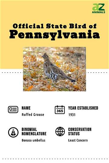 Pennsylvania State Bird Guide: History, Status, and the Scarlet Tanager Debate