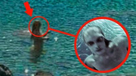 Real-Life Mermaids Caught on Camera: the Skill Behind the Mesmerizing Aquarium Spectacle