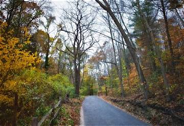 Sweet Hollow Road Today: Community Preservation, Safety Alerts, and Local News