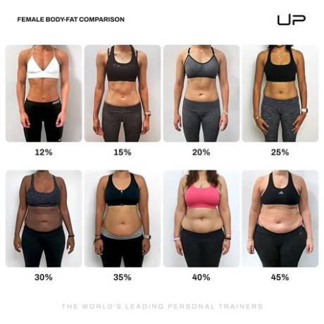 The Complete Guide to Female Body Fat: Healthy Percentages and How to Measure