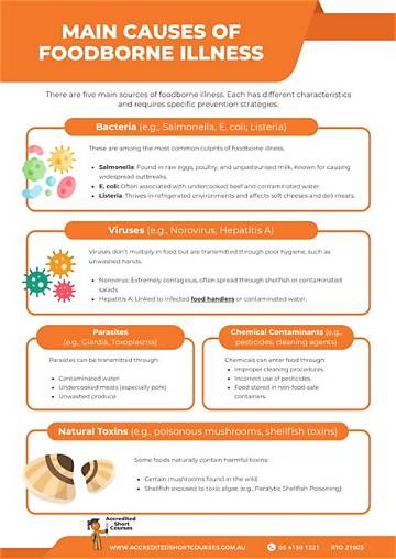 The Complete Guide to Queefing: Causes, Prevention, and When to Worry