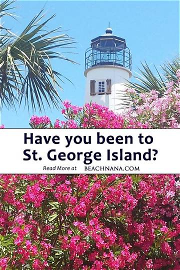 The Complete St. George Island Travel Guide: Pristine Beaches, Wildlife, and Safety Rules