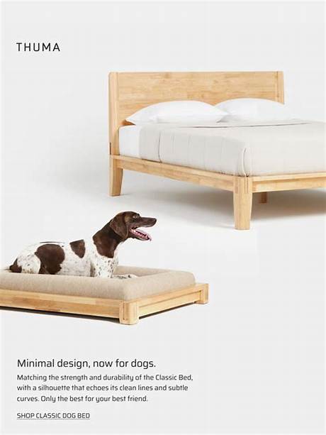 The Complete Thuma Classic Dog Bed Sizing, Care, and Buyer's Guide