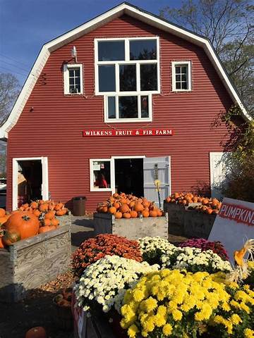 The Complete Visitor Guide to Wilkens Fruit and Fir Farm: Apples, Wine, and Mazes
