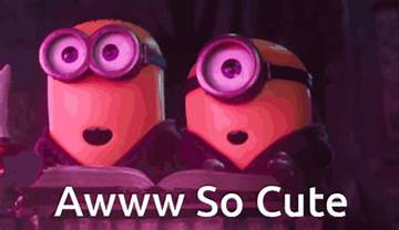 The Ultimate Guide to 'Aww So Cute' Content: Top Subreddits, Creators, and Feel-Good Feeds to Follow
