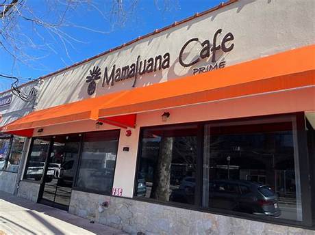 The Visual Evolution of Mamajuana Cafe Hartsdale: from Grand Opening to Dining Staple