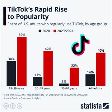 Tiktok for Adults: Inside the Data Behind the Rapid Demographics Shift