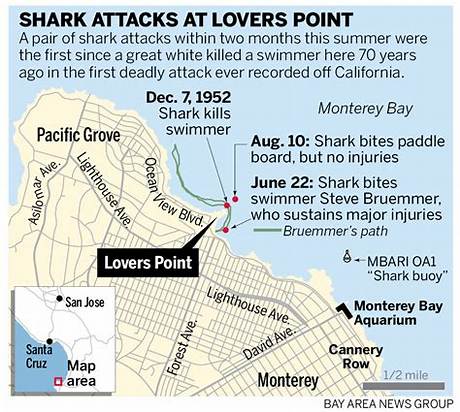 Visiting Lovers Point Beach: Current Closures, Shark Alerts, and Swimming Rules