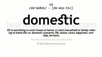 What Does Domestic Mean? the Complete Explainer on Family, Finance, and Government