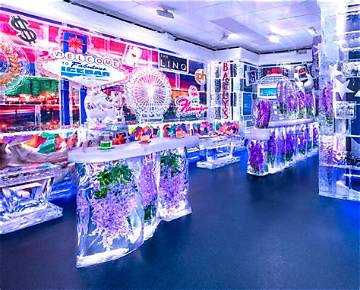 What Does the Linq Ice Bar Really Look Like? an Inside Tour