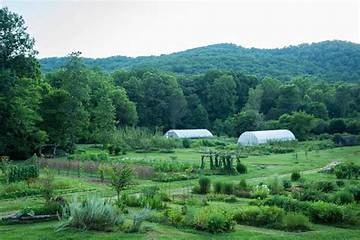 What Sets Blackberry Farm Apart? the True Cost, Legacy, and Reality Behind the Hype