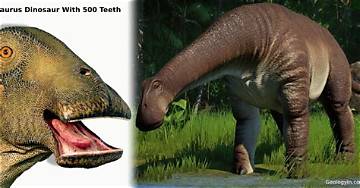 Which Dinosaur Really Had the Most Teeth? the Record-Holder Shatters Viral Myths