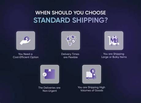 Which Shipping Line Should You Choose on Superbuy? the Definitive Guide